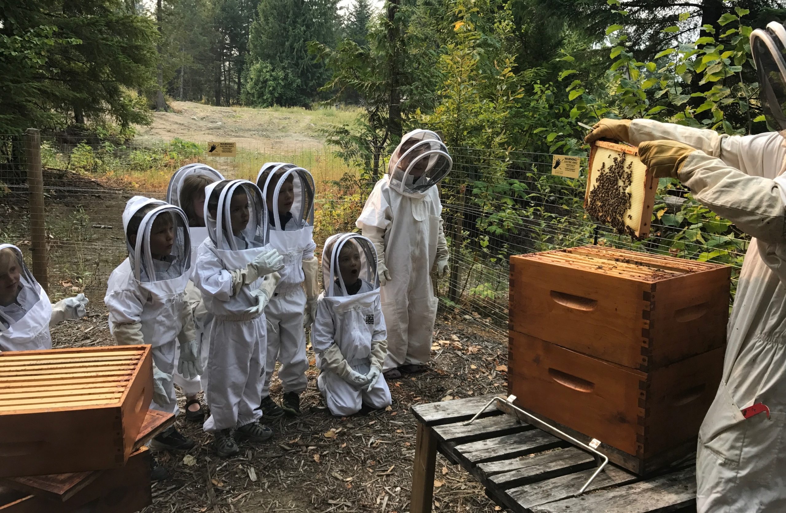 kids watching beekeeper