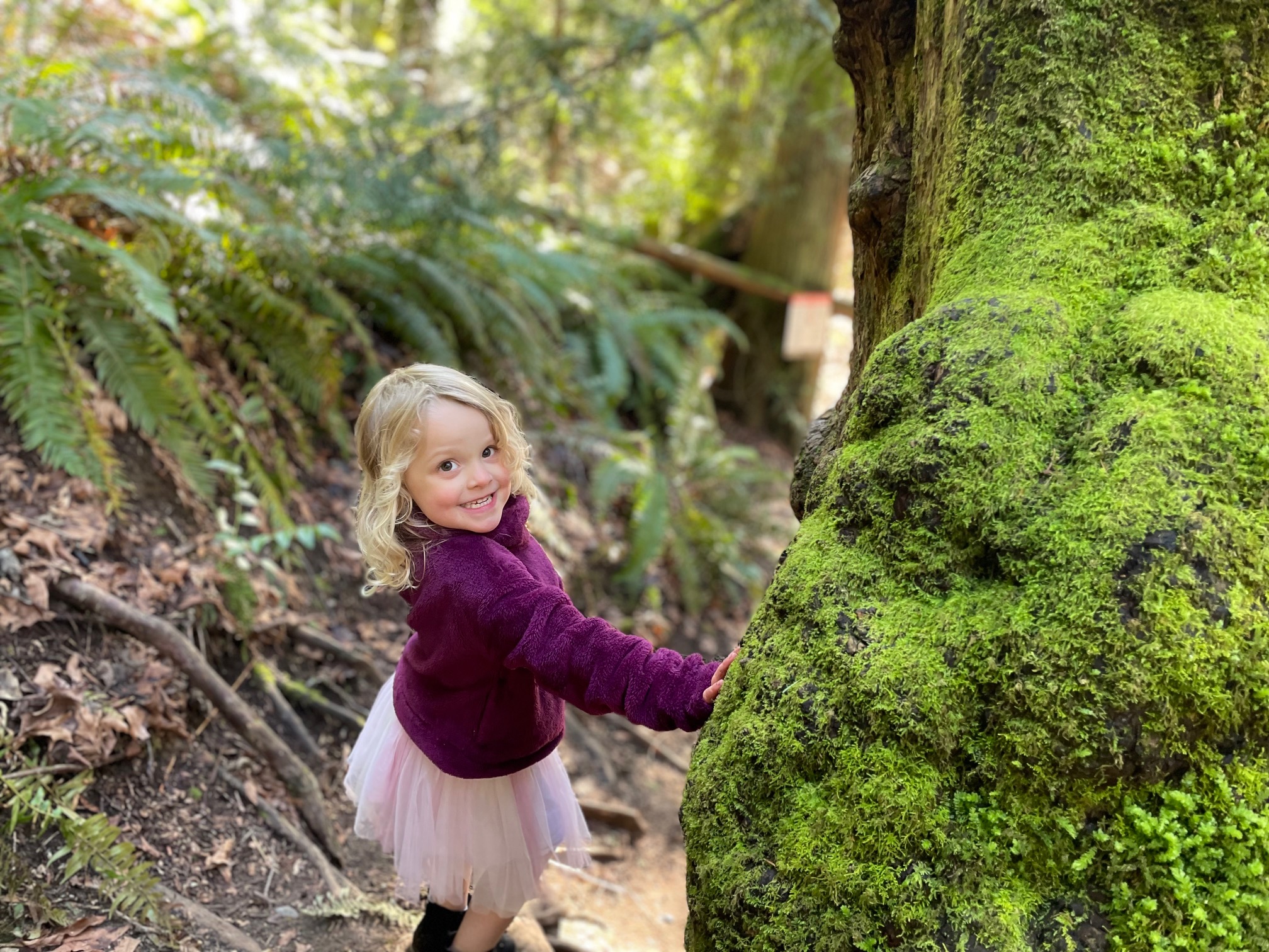 7 kid-friendly hikes in the Pacific Northwest for little explorers 7 kid-friendly hikes in the Pacific Northwest for little explorers