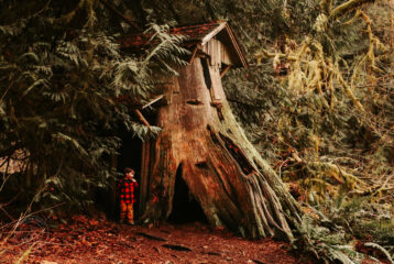 Explore a stump house on the Guillemot Cove Trail