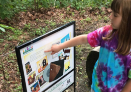 pop up story walk