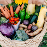 CSAs